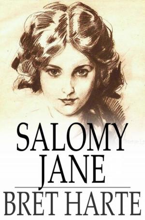 Cover of the book Salomy Jane by Lord Dunsany