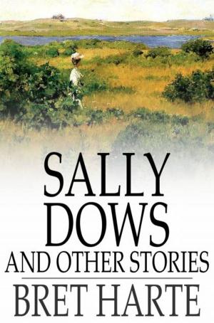 Cover of the book Sally Dows and Other Stories by Charles Sealsfield