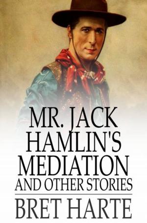 bigCover of the book Mr. Jack Hamlin's Mediation and Other Stories by 
