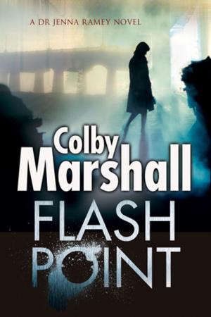 Cover of the book Flash Point by Paul Doherty