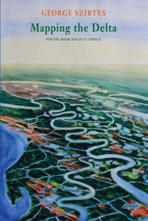 Cover of the book Mapping the Delta by Ana Blandiana