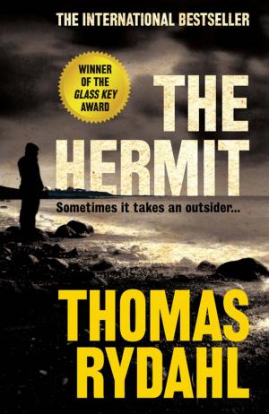 Cover of the book The Hermit by John Berthrong, Evelyn Berthrong
