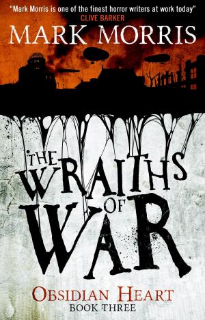 bigCover of the book The Wraiths of War by 
