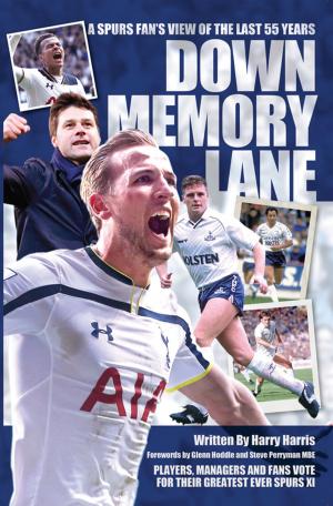Cover of the book Down Memory Lane by Jon Allen