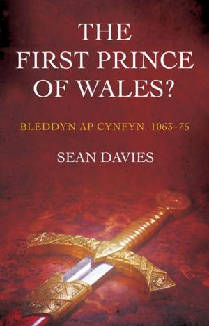 Book cover of The First Prince of Wales?