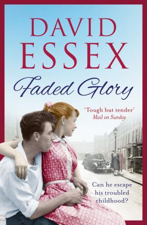 Cover of the book Faded Glory by Lindsey Hutchinson