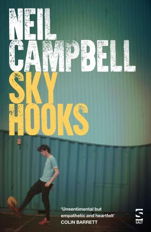 Cover of the book Sky Hooks by Stefan Mohamed