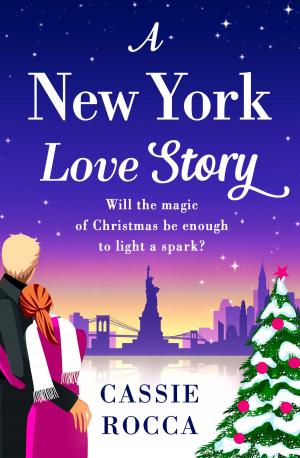Cover of the book A New York Love Story by Ben Garrod