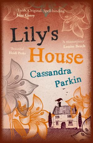 Cover of the book Lily's House by Paddy Kelly
