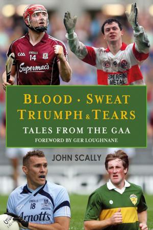 Book cover of Blood, Sweat, Triumph & Tears