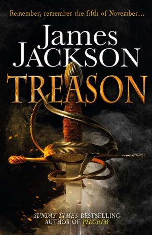 Cover of the book Treason by TJ Waters