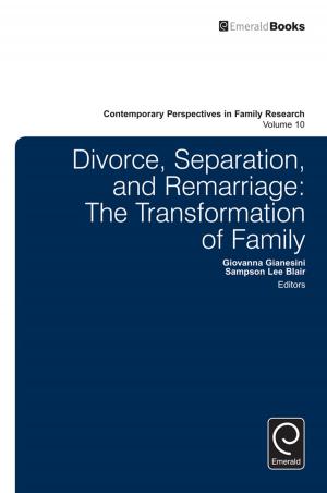 Cover of the book Divorce, Separation, and Remarriage by 