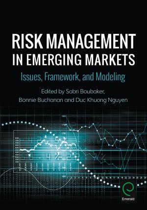 Cover of the book Risk Management in Emerging Markets by Shaoming Zou