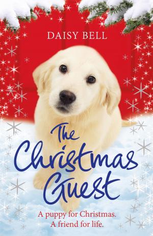 Cover of the book The Christmas Guest by Lucy Neville