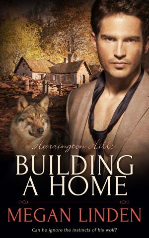 Cover of the book Building a Home by Jambrea Jo Jones