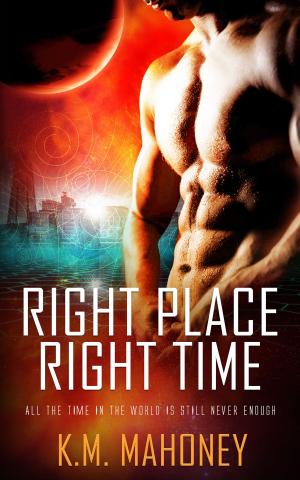 Cover of the book Right Place, Right Time by Helena Stone