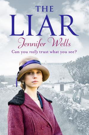 Book cover of The Liar