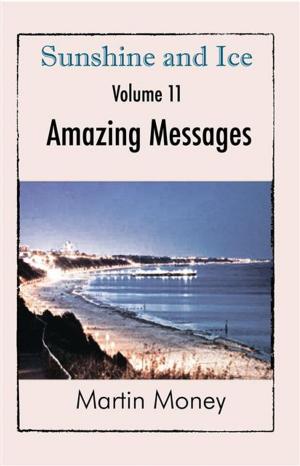 Book cover of Sunshine and Ice Volume 11: Amazing Messages