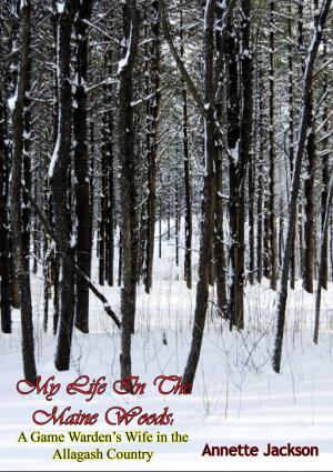 Cover of the book My Life In The Maine Woods by Lt.-Col. John E. Marr USAF