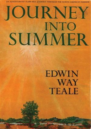 bigCover of the book Journey Into Summer by 