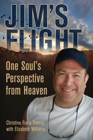 Book cover of Jim's Flight