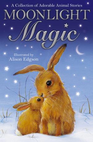 Cover of the book Moonlight Magic by Alan MacDonald