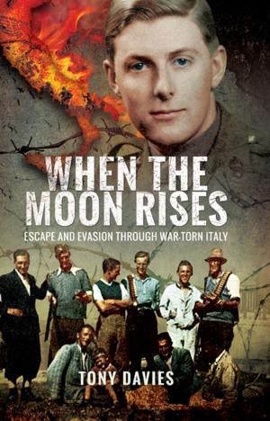 Cover of the book When the Moon Rises by Jon Diamond