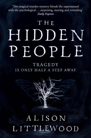 Cover of the book The Hidden People by Pierre Boussel