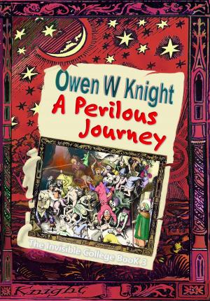 Cover of the book A Perilous Journey by Owen W Knight
