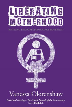 Cover of Liberating Motherhood