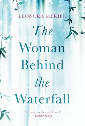 Cover of the book The Woman Behind the Waterfall by Elissa Gabrielle, Angelia Vernon Menchan