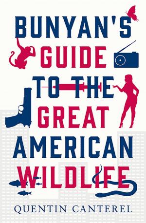 Cover of the book Bunyan's Guide To The Great American Wildlife by Quentin Canterel