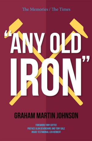 Cover of the book Any Old Iron by Frederic C. Chiles