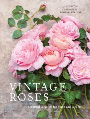 Book cover of Vintage Roses