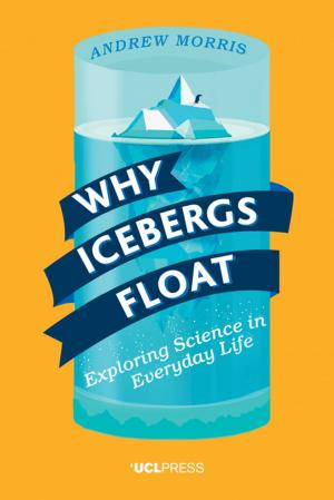Cover of the book Why Icebergs Float by Professor Dilly Fung, Professor of Higher Education Development & Academic Director UCL Centre for Advancing Learning and