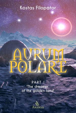 Cover of the book Aurum Polare I by Jennifer Becker