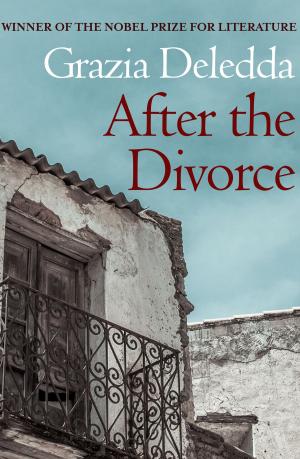 Book cover of After the Divorce