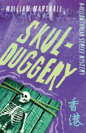 Cover of Skulduggery