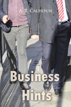 Cover of Business Hints
