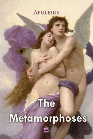 Cover of the book The Metamorphoses by George Chester