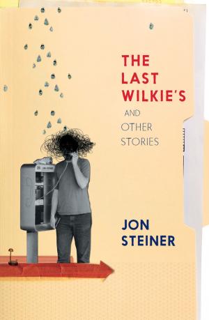 Cover of the book The Last Wilkie's by Julie Chevalier