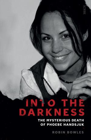 bigCover of the book Into the Darkness by 