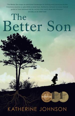 Cover of the book The Better Son by Michael Hawton