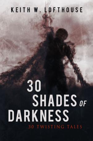 Cover of the book 30 Shades of Darkness by Terry London