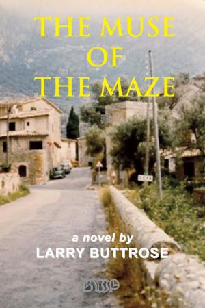 Cover of the book The Muse of the Maze by Marie Minnich