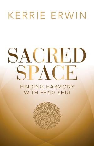 Cover of the book Sacred Space by Barry Eaton, Anne Morjanoff