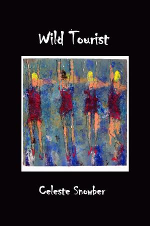 Book cover of Wild Tourist
