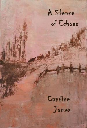 Cover of the book A Silence of Echoes by Candice James