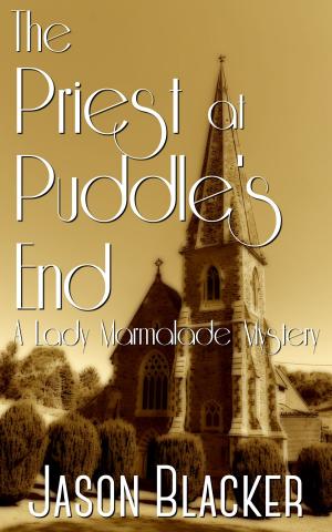 Cover of the book The Priest at Puddle's End by Sylynt Storme