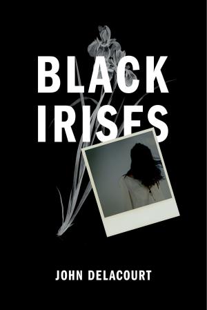 Cover of the book Black Irises by Daniel Kelley